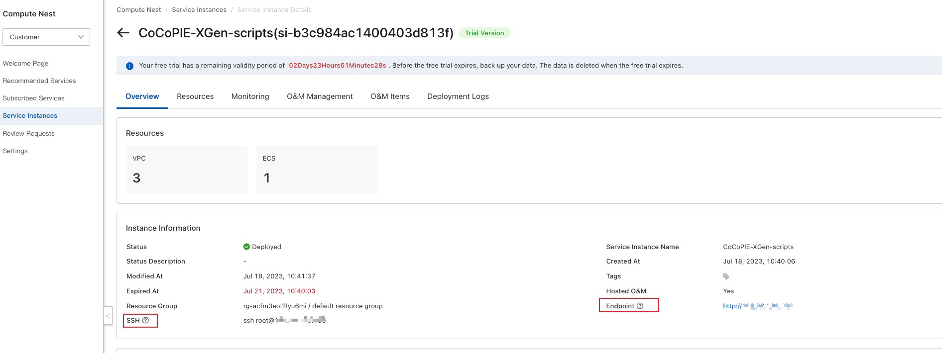 Service Instance